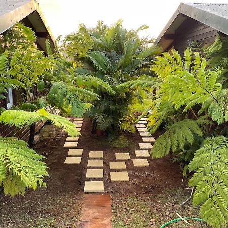 Bungalow A Flanc De Colline Le Morne-Rouge Zewnętrze zdjęcie