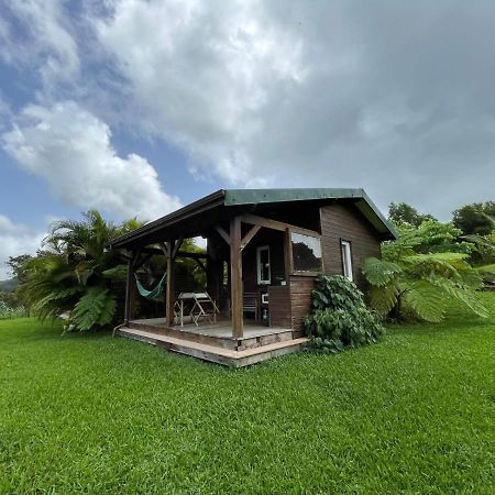 Bungalow A Flanc De Colline Le Morne-Rouge Zewnętrze zdjęcie