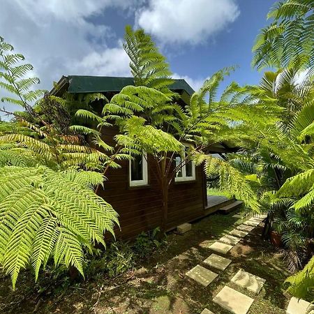 Bungalow A Flanc De Colline Le Morne-Rouge Zewnętrze zdjęcie