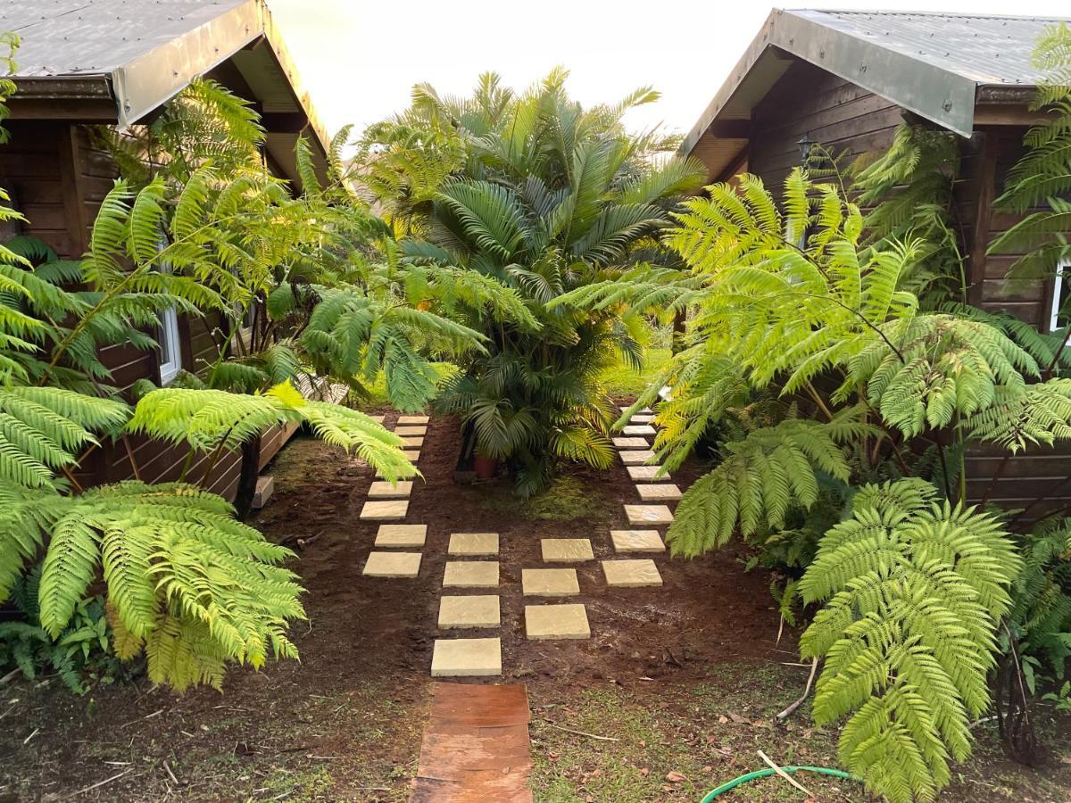 Bungalow A Flanc De Colline Le Morne-Rouge Zewnętrze zdjęcie