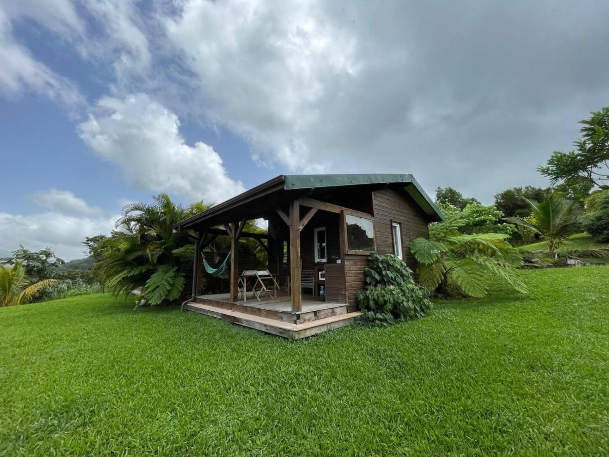 Bungalow A Flanc De Colline Le Morne-Rouge Zewnętrze zdjęcie