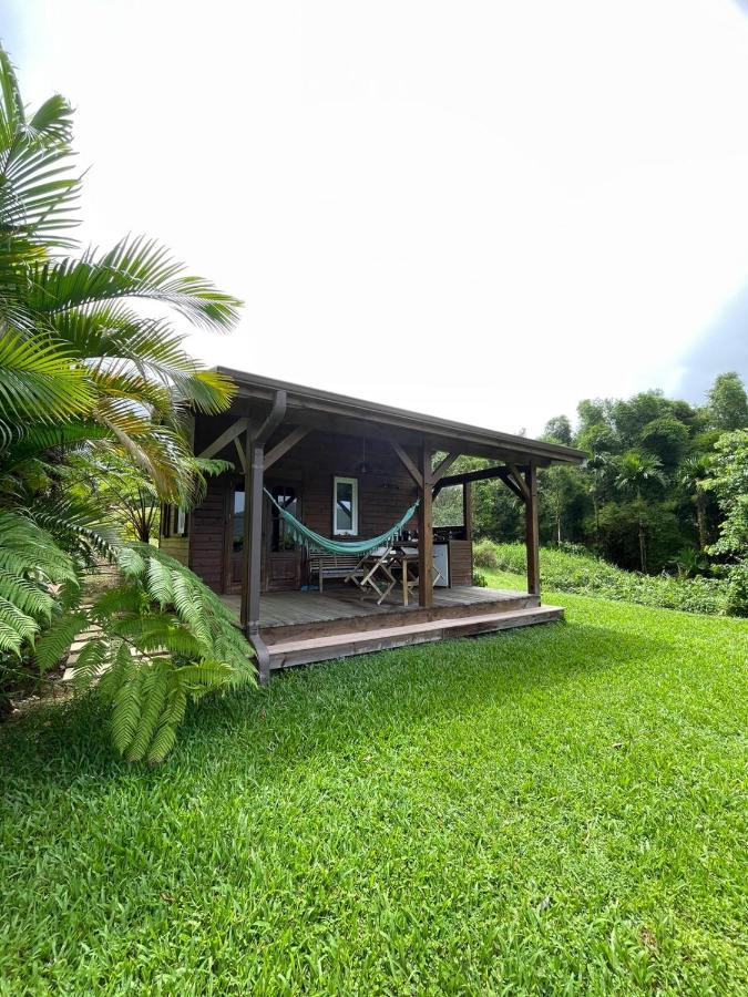 Bungalow A Flanc De Colline Le Morne-Rouge Zewnętrze zdjęcie