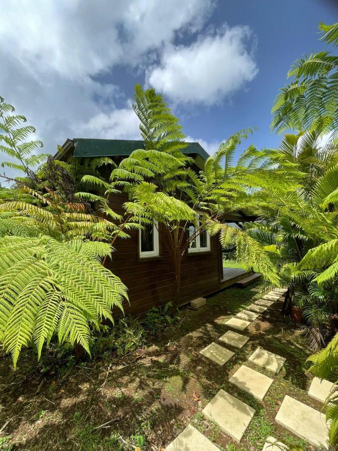Bungalow A Flanc De Colline Le Morne-Rouge Zewnętrze zdjęcie